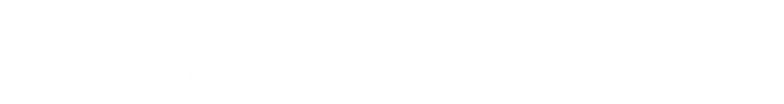 CFAA Corporate Finance Accounting and Audit Kft.